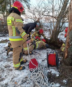 Klacz wpadła do studni. Zwierzę uratowali strażacy