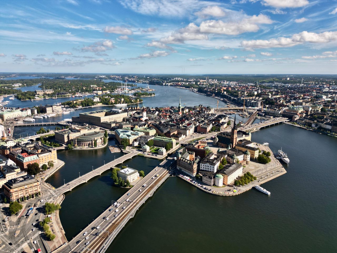 Salmon release in Stockholm: A boost for urban biodiversity