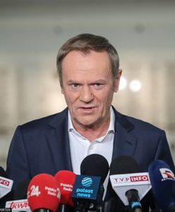 "Rola agresywnego pitbulla". Tusk odpowiada Morawieckiemu.