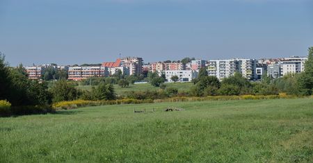 Protest pod Ratuszem. Mieszkańcy walczą o Górki Czechowskie