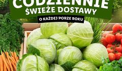 Lidl promuje świeże warzywa i owoce. W tle głos Krystyny Czubównej