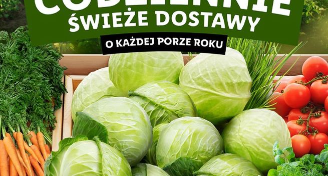 Lidl promuje świeże warzywa i owoce. W tle głos Krystyny Czubównej