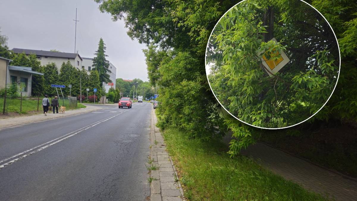 Zasłonięty przez gałęzie znak drogowy przy ul. Walecznych