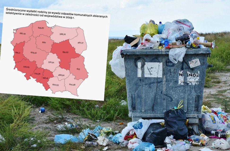 Nowy raport. Mamy problem ze śmieciami, co widać w cenach
