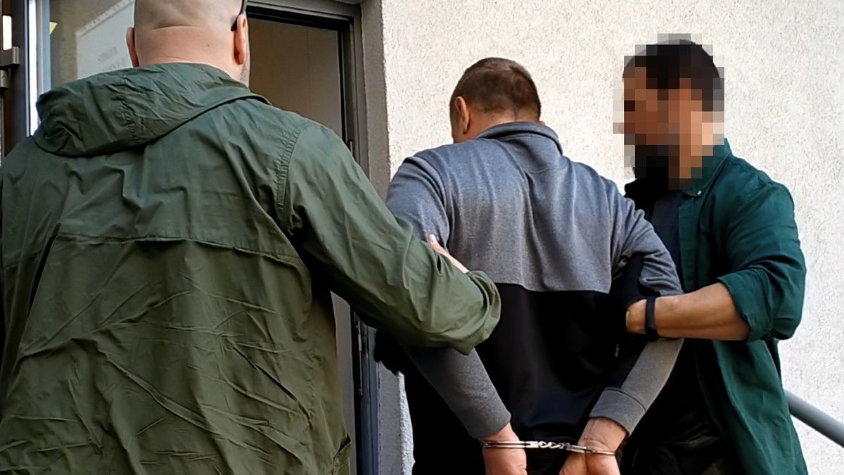 W "dziupli" podejrzanego policjanci znaleźli siedem samochodów