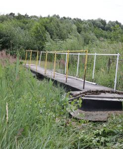 "Barbarzyństwo". Tak umiera Pojezierze Gnieźnieńskie