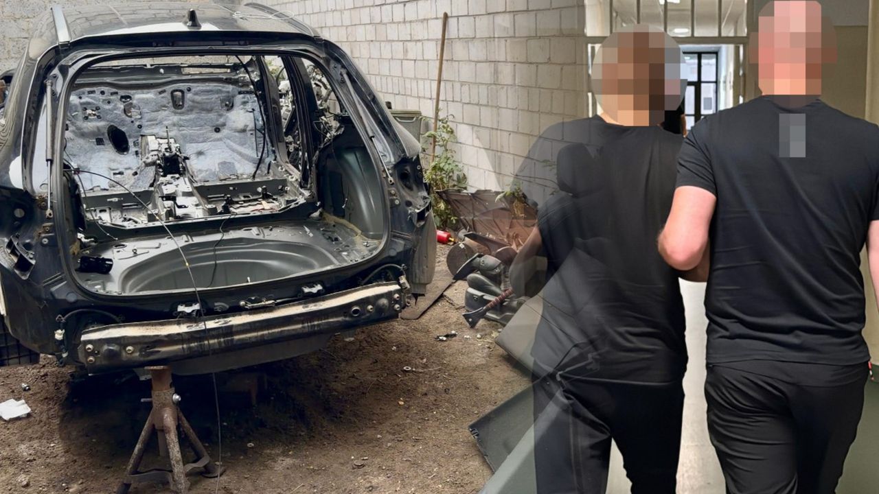Trzech mężczyzn wpadło w lesie. Policja publikuje nagranie