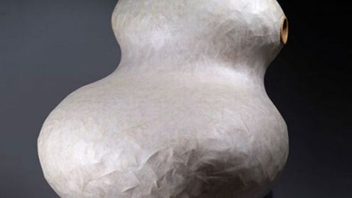 Meble wykończone przez jedwabniki 1