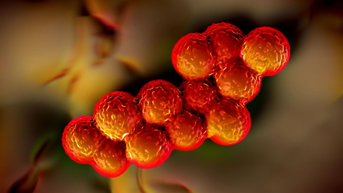 Dysbakterioza to zaburzenie dotyczące składu flory bakteryjnej przewodu pokarmowego