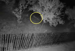 Zwołano sztab kryzysowy. Jest nagranie po wybuchu na Lubelszczyźnie