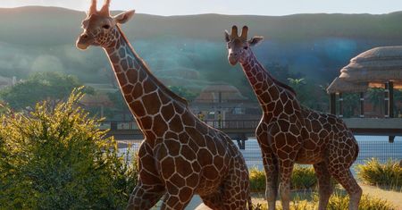 Planet Zoo wygląda naprawdę dobrze - gameplay z E3 2019