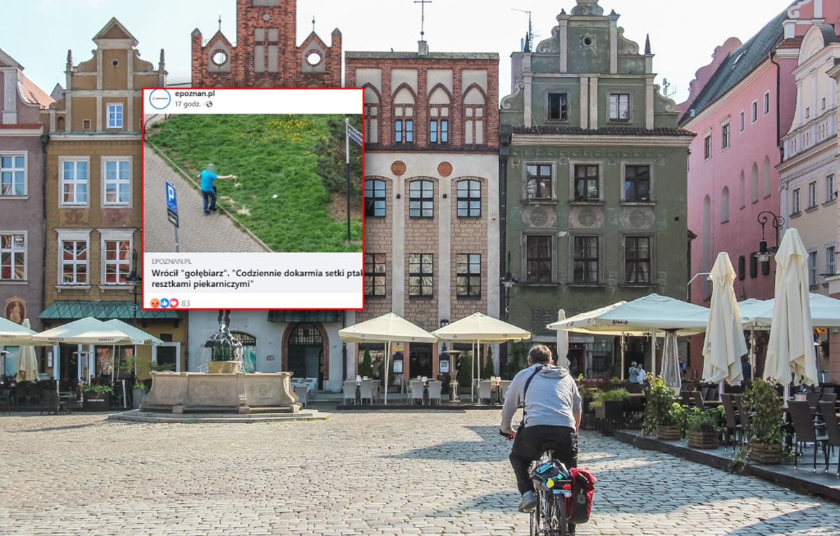 Wrócił "gołębiarz". Ludzie są bezradni