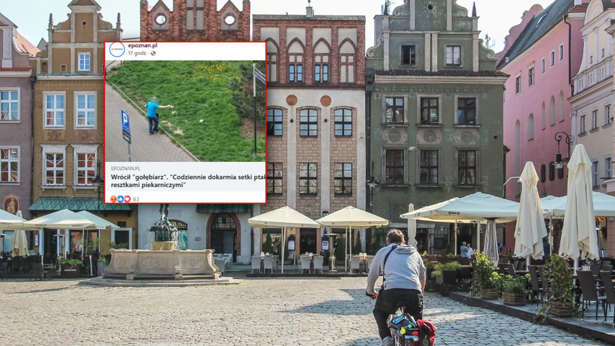 Mieszkańcy Poznania zgłaszają problem "gołębiarza".