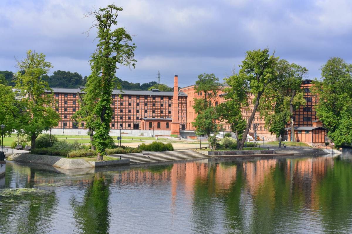 Bydgoszcz: Dzieje się w Młynach Rothera 28 października - 10 listopada 2025