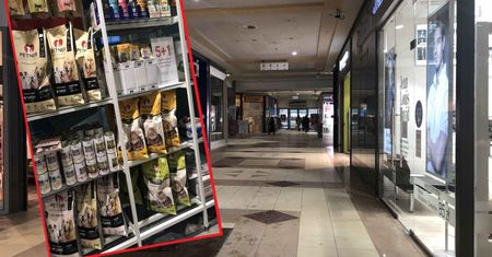 Nie czekają, otwierają sklepy w galeriach. Karma dla psów w ofercie, by obejść przepisy