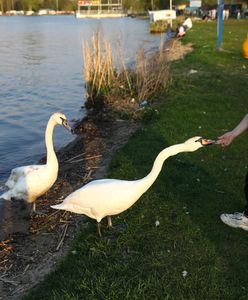 Pogoda. Ochłodzenie popsuje weekend. Nowa prognoza