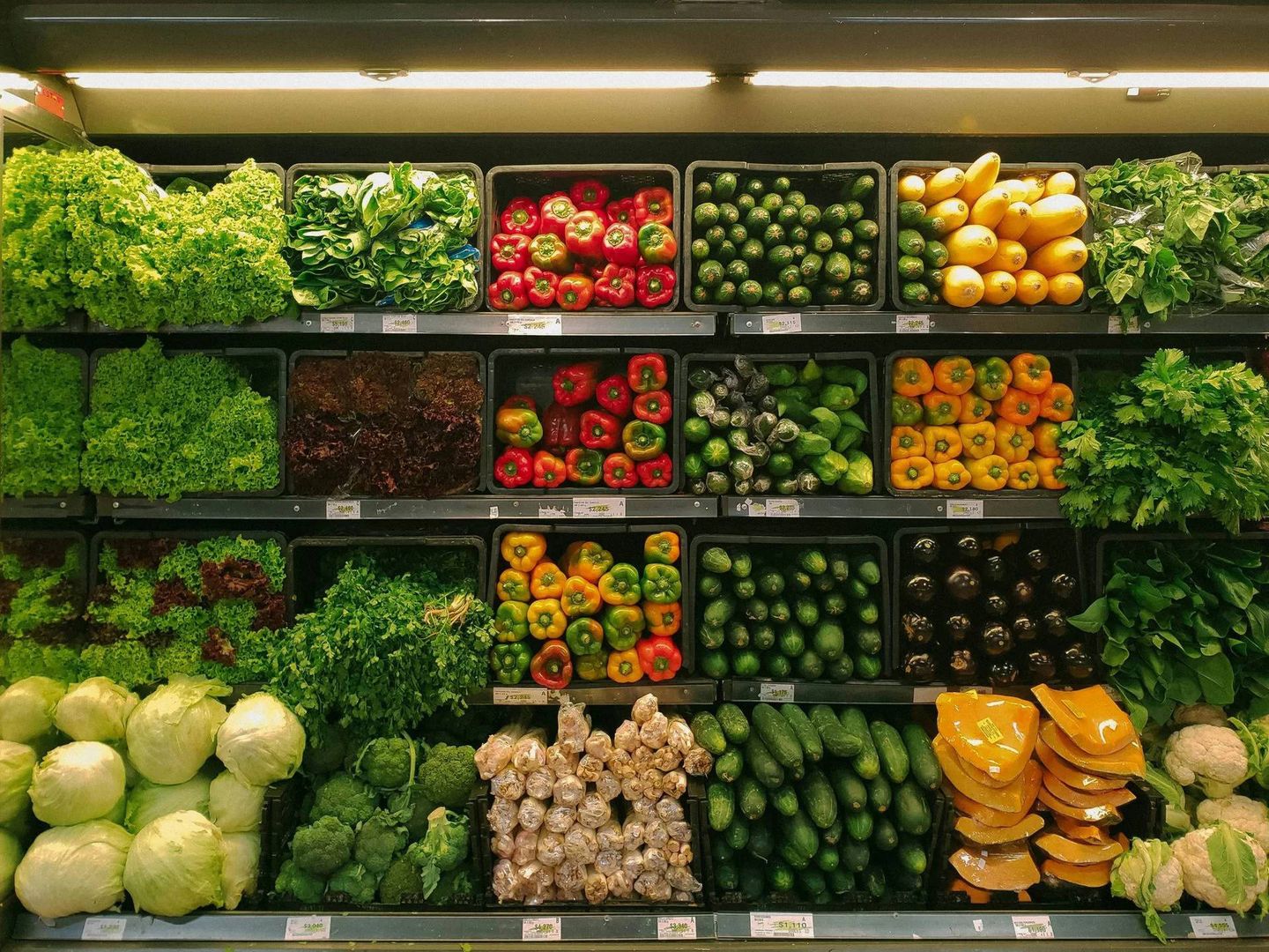 "eko", "bio" i "organiczne"