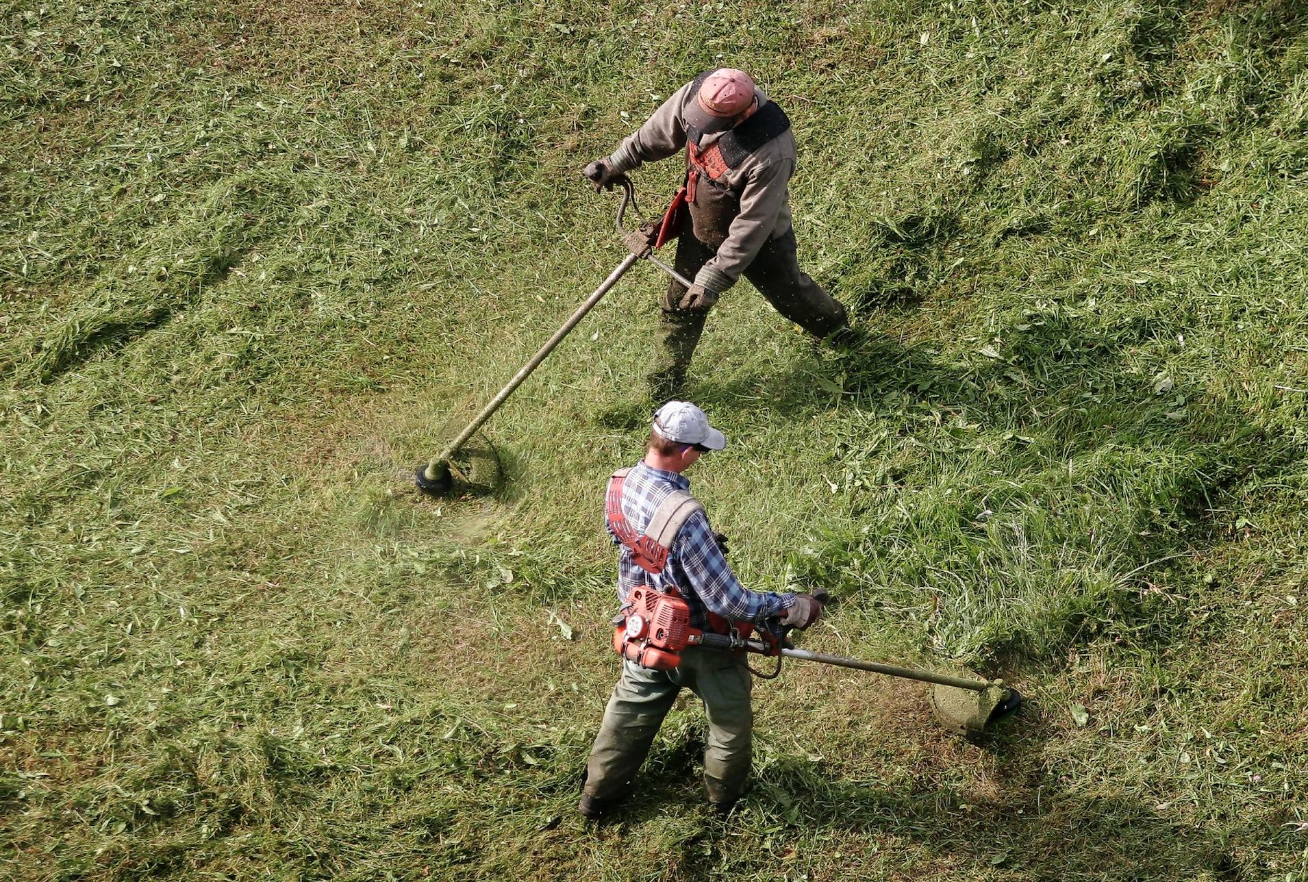 Zielony trawnik = czerwona flaga? Susza zmienia zasady gry