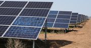 Oferta Avia Solar dostępna na stacjach paliw Avia; 100 KW już zakontraktowane