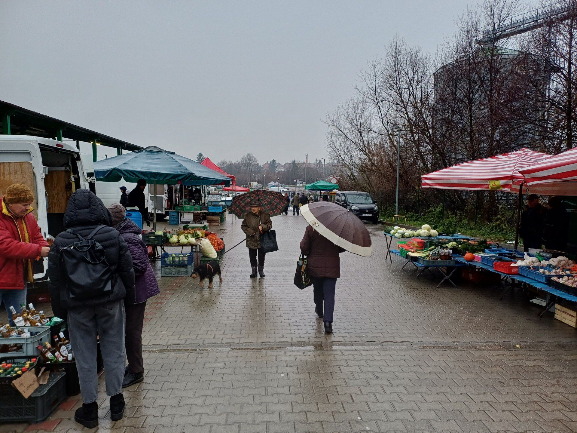 Największy ruch na części warzywno - owocowej
