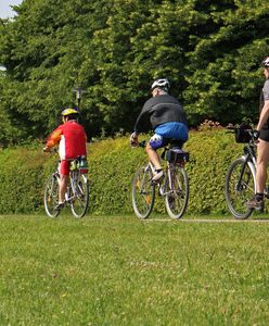 Nie ustąpił pierwszeństwa. Rowerzysta uderzył w drzewo