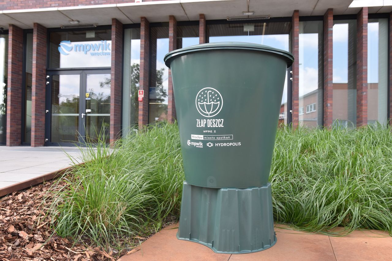 Program "beczka+". Nawet 5 tys. zł dopłaty z miejskiej kasy dla "łapaczy deszczu" 