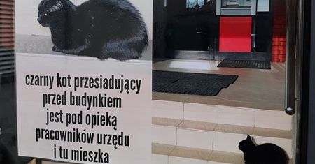 Wieloletnia mieszkanka urzędu w Piasecznie pod specjalnym nadzorem