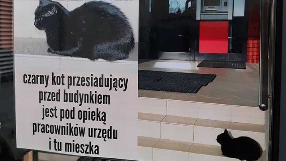 Piaseczno. Informacja o mieszkance urzędu niedawno pojawiła się tuż przy wejściu do budynku