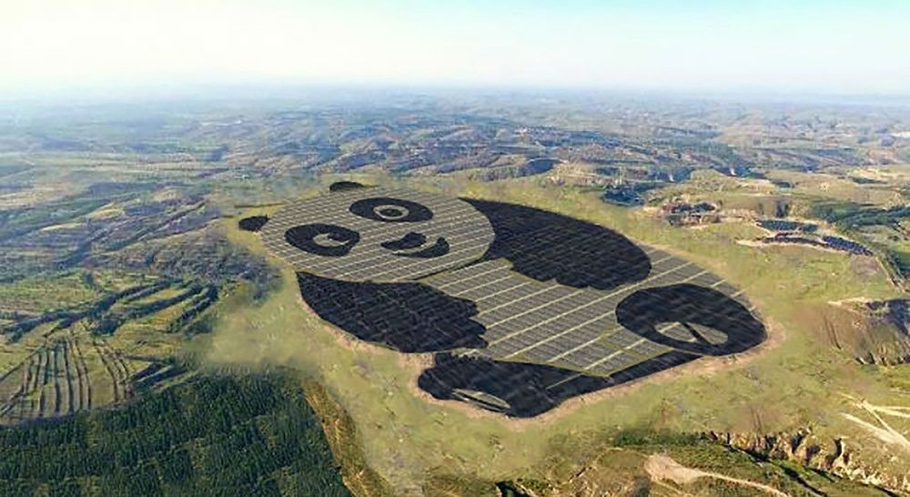 "Elektrownia Panda". Chińczycy w niezwykły sposób uczcili ulubione zwierzę