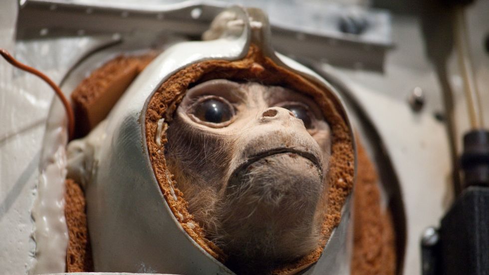 Projekt Albert: tragiczny los pierwszych astronautów. Zapomniani pasażerowie rakiet V2 1