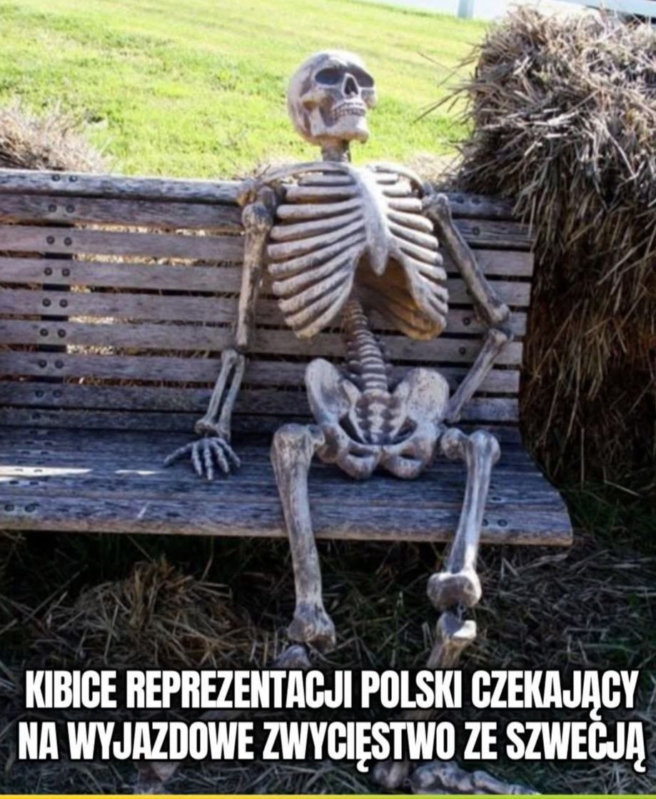 Memy po meczu Polska-Szwecja