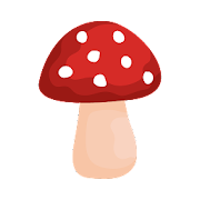 Shroomify