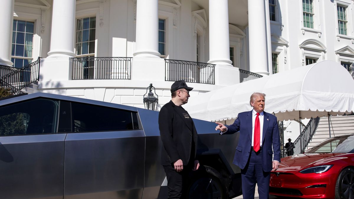 Elon Musk, Donald Trump