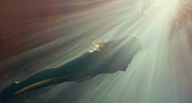 Paprocki&amp;Brzozowski ze spotem od Iwony Bieleckiej i Papaya Films