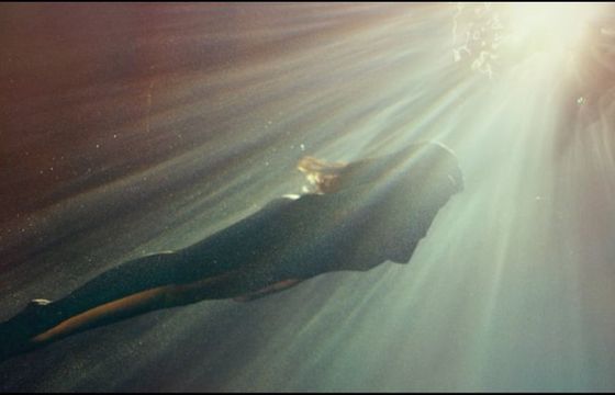 Paprocki&amp;Brzozowski ze spotem od Iwony Bieleckiej i Papaya Films