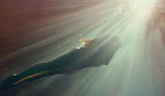 Paprocki&amp;Brzozowski ze spotem od Iwony Bieleckiej i Papaya Films