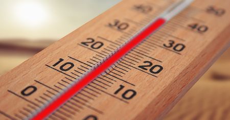 Rekord temperatury na Syberii. Tak ciepło nie było nigdy