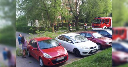 Ul. Wyżynna: Drzewo spadło na jezdnię kilka centymetrów od zaparkowanych aut
