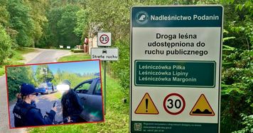 Nietrzeźwy rowerzysta w lesie. Wspólne patrole policji i leśników przynoszą efekty