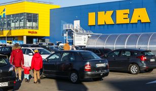 Rekordowe podwyżki dla pracowników IKEA. Nawet dwucyfrowe wzrosty