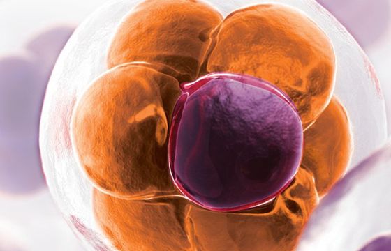 Discovery Life Sciences przejmuje Targos