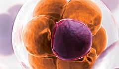 Discovery Life Sciences przejmuje Targos