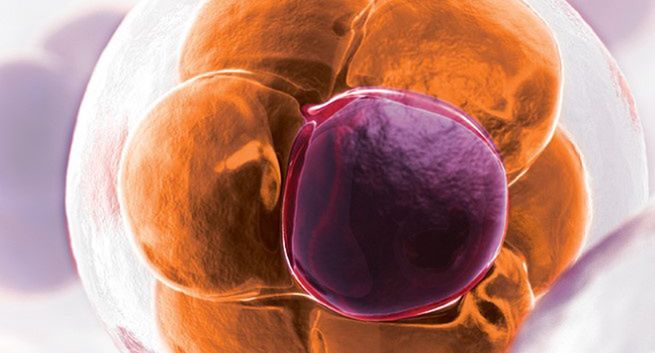 Discovery Life Sciences przejmuje Targos