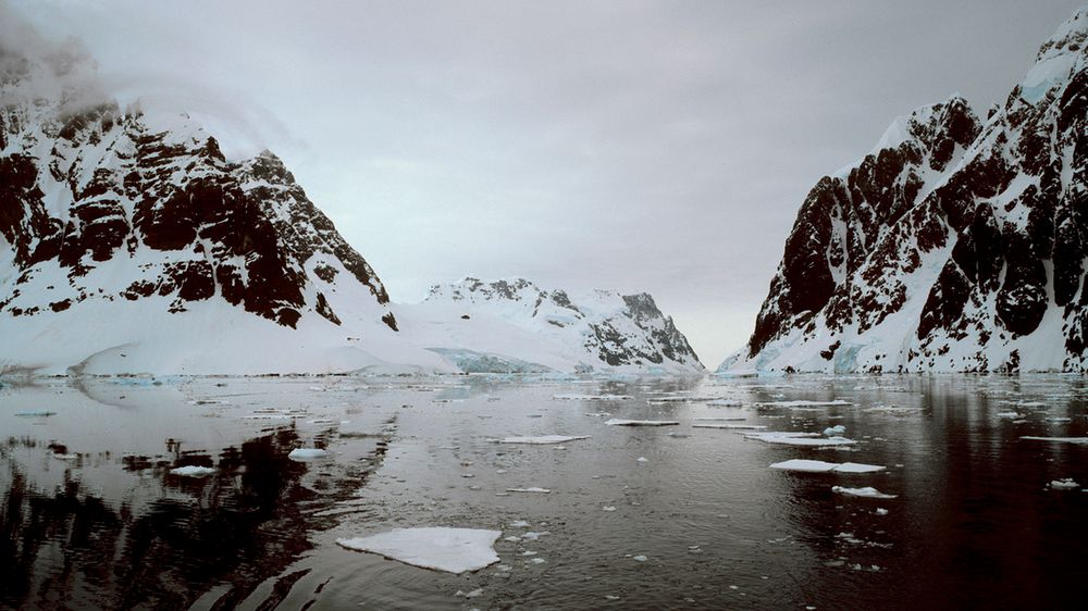 Rene Koster mówi o sensie fotografowania: „Chodzi o ten moment, w którym wiesz, że wszystko składa się w całość” 1