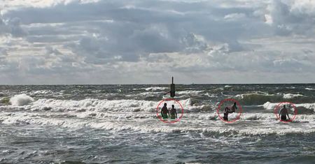 Cichy zabójca w Bałtyku. Turyści powinni uważać