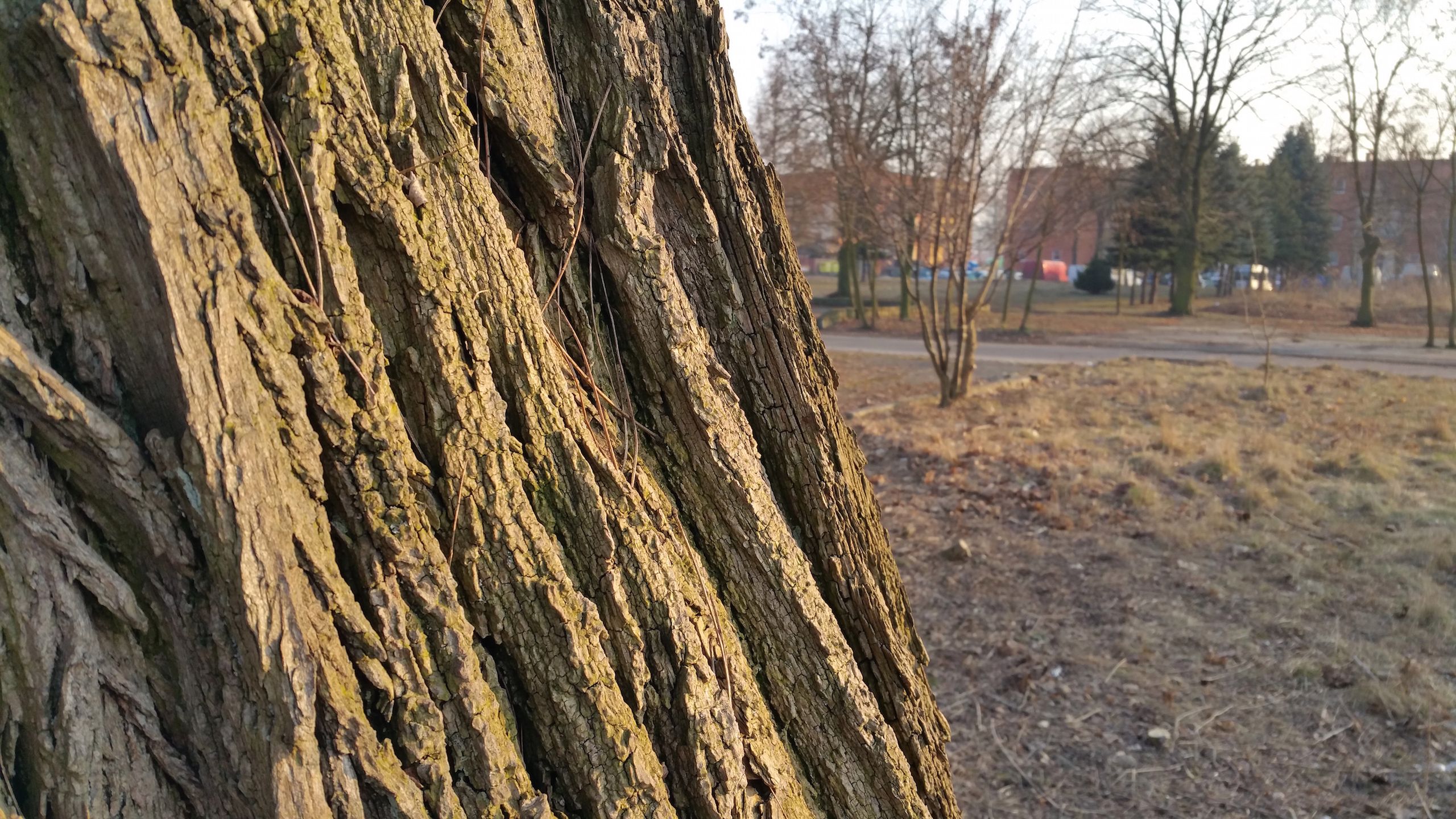 Galaxy Note Edge - test i recenzja smartfona z ekranem krawędziowym 57
