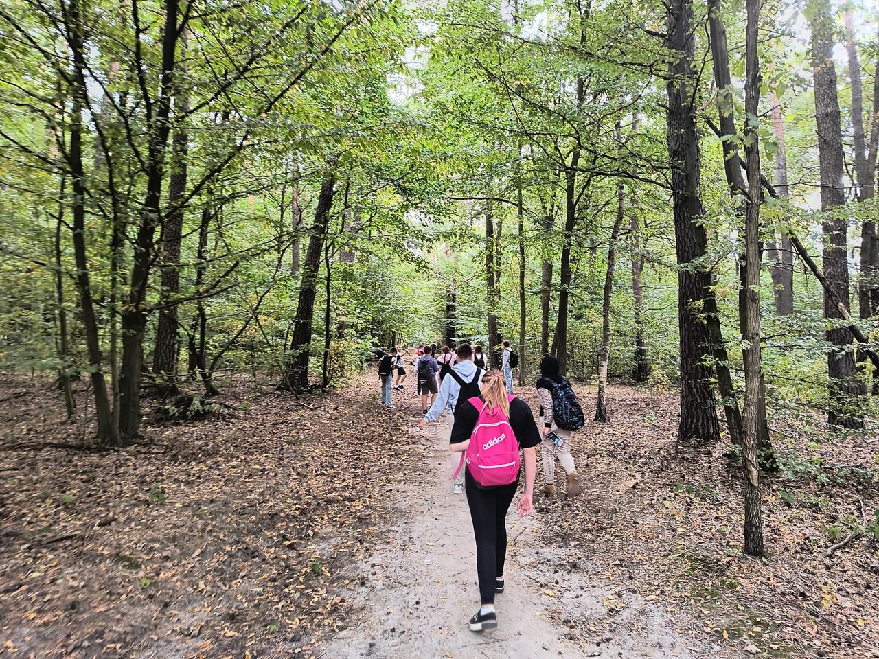 EcoRun by ZielonoMi – Rodzinny bieg przez Brudzeński Park Krajobrazowy już 12 października!