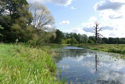 Kostrzyn. Zwłoki w Warcie. Ciało zauważył wędkarz