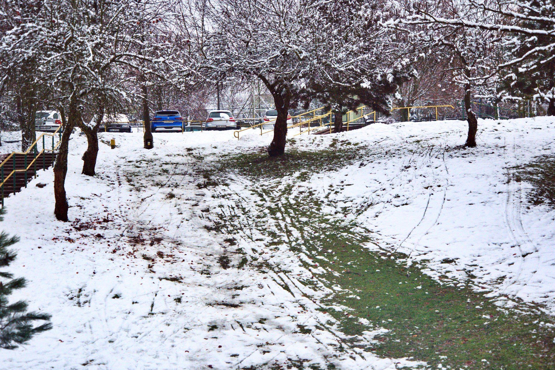 Gdzie na sanki w Olkuszu? - zdjęcie poglądowe
