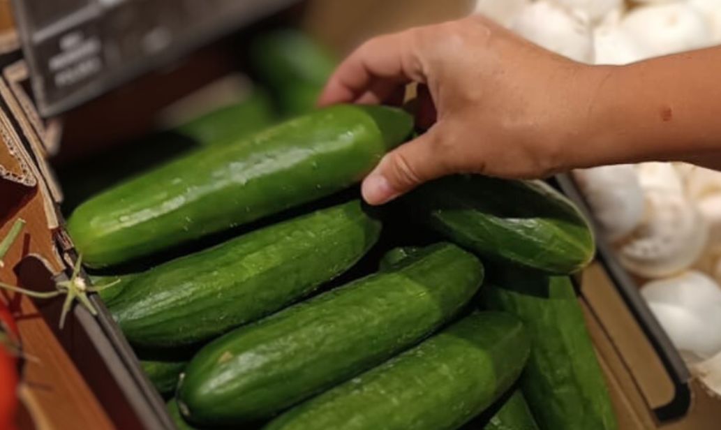 Rosyjskie ogórki pod kontrolą. Większy import niż przed rokiem